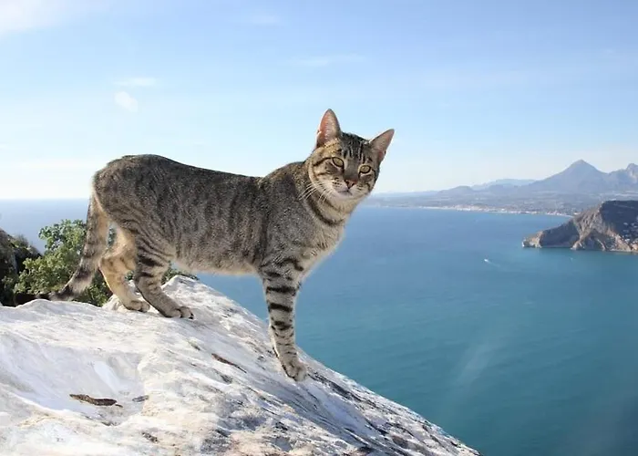 Anis - Plusholidays Villa Calpe